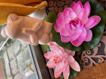 いくちゃんの評価写真