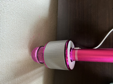 伝説の歌手の評価写真