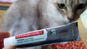 オッシィナの評価写真