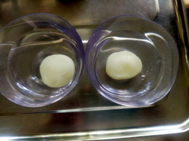 こうちゃんの評価写真