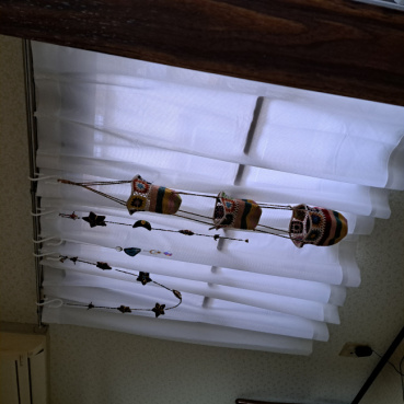 apricotの評価写真