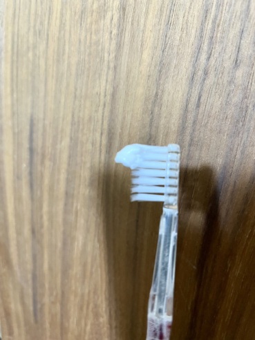 パキラの評価写真