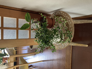 mikathiの評価写真