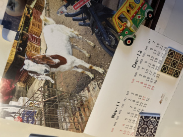 佐谷香の評価写真