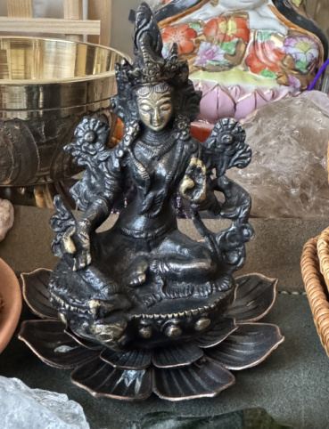 トレーシーの評価写真