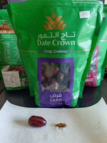 さいとうの評価写真