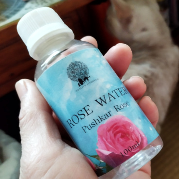 オシナの評価写真