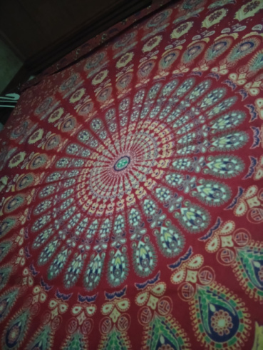 泉 大地の評価写真