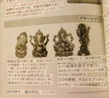 カヤの評価写真