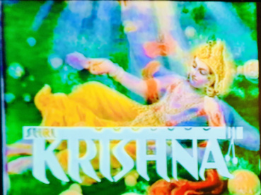 カヤの評価写真