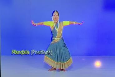 カヤの評価写真