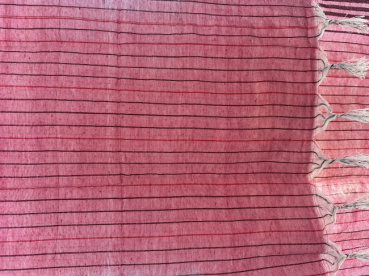 めぎーの評価写真