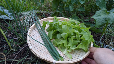 Sakieの評価写真