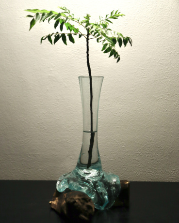 りょうの評価写真