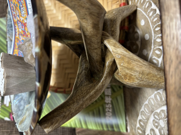 kotoの評価写真