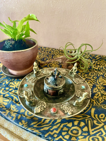 コスモの評価写真