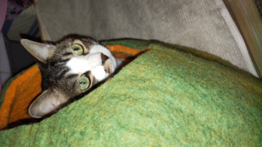 穂苅毘沙門天の評価写真