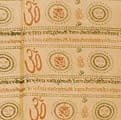 RAM-BIGOS-61の評価写真