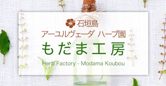 きだちこみかんそう(チャンカピエドラ）パウダー BHUMYAMLAKI 20g【石垣島アーユルヴェーダ農園 もだま工房】の上部写真説明