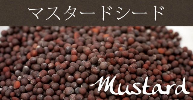 マスタード　シード Mustard Seed (Rai) 100g 袋入りの上部写真説明