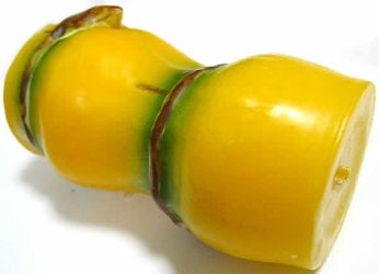 黄色太竹の商品写真