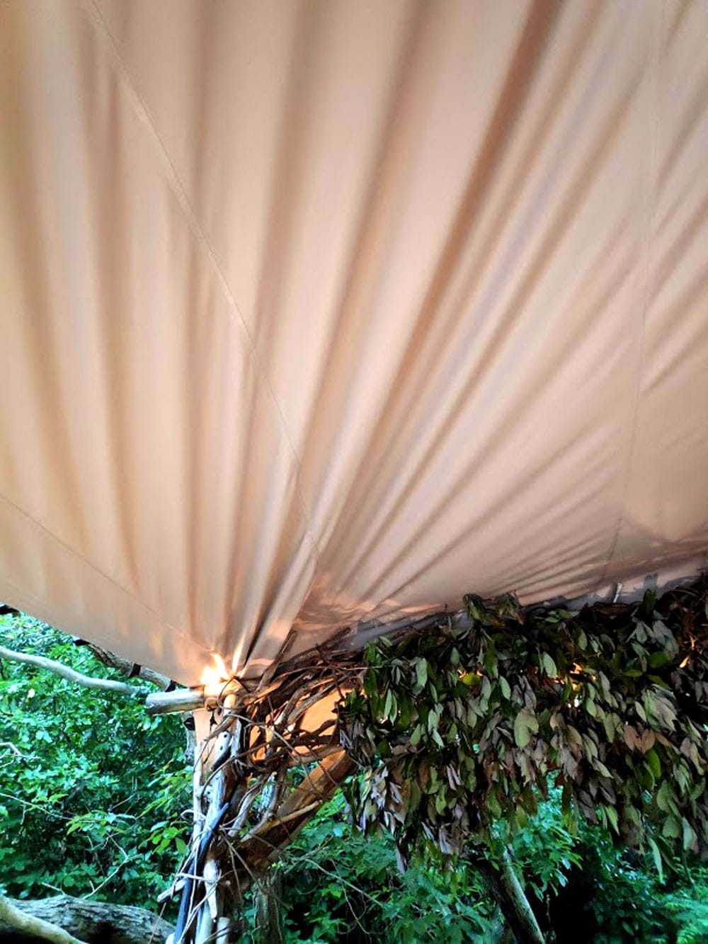 ストレッチテント 野外フェス イベント タープ【8m x 6m】【納期