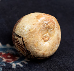 【10個セット】キンマの実に彫られたガネーシャ - Supari Ganesh - サブ5