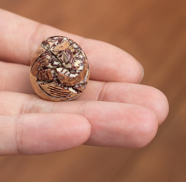 【10個セット】キンマの実に彫られたガネーシャ - Supari Ganesh 7 - サイズ比較のために手に持ってみました