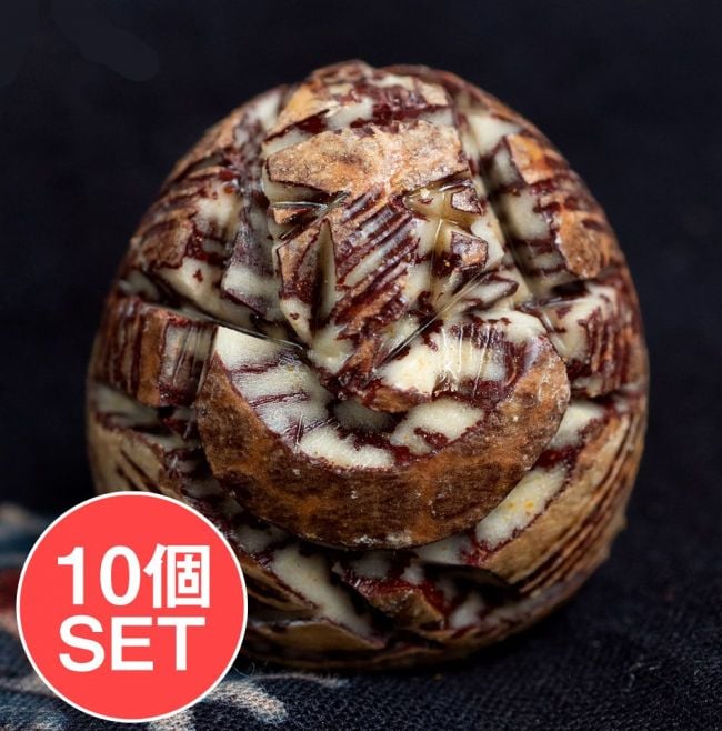 【10個セット】キンマの実に彫られたガネーシャ - Supari Ganeshの写真セット,ガネーシャ,ガネーシャ像,Ganesh,パーン,キンマ