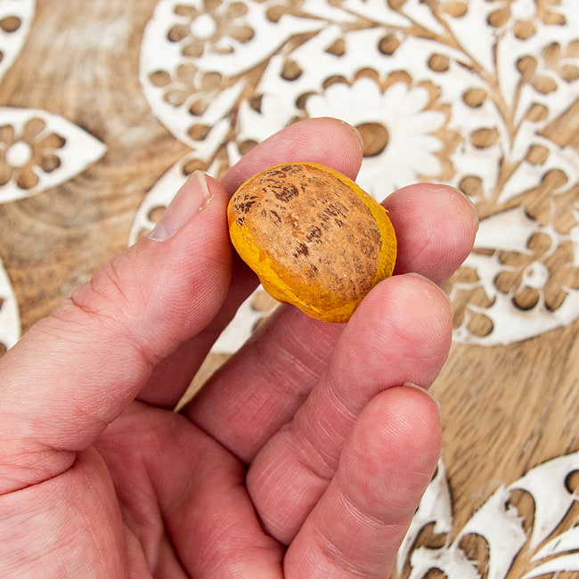 【5個セット】キンマの実に彫られたかわいいガネーシャ - Supari Ganesh 5 - 裏面です