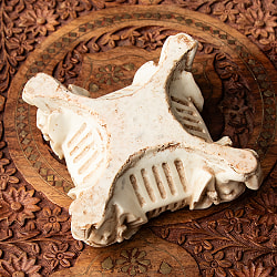 ホワイト・エレファント灰皿[13cm] - サブ5