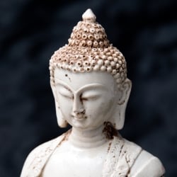 ブッダ ホワイト[20cm] - サブ2