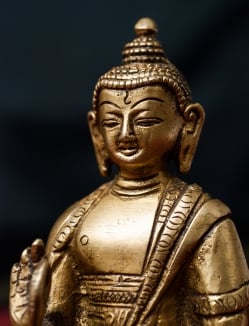 アモーガシッディー - 不空成就如来 - 12cm - サブ3