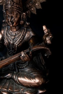 サラスバティー[88cm] - サブ4