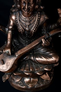 サラスバティー[88cm] - サブ5