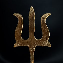 シヴァの三つ又 18.5cm - サブ2