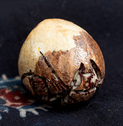 キンマの実に彫られたガネーシャ - Supari Ganesh - サブ5