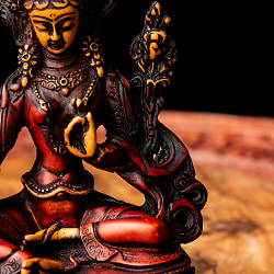 カディラヴァーニー・ターラー（グリーンターラー） 多羅菩薩 - 赤茶[約16cm] - サブ4