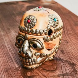 頭蓋骨杯 カパラ [約14cm×11cm×13.5cm](TI-RSDL-1683)