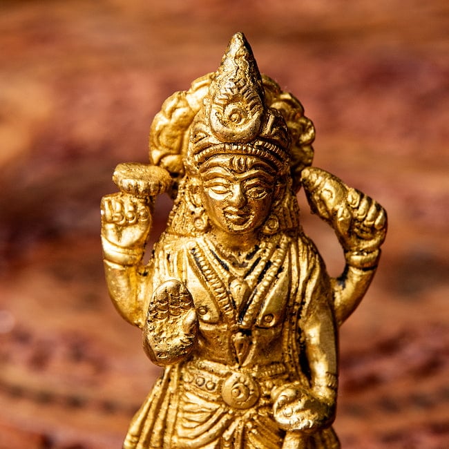 ヴィシュヌ 立像 高さ：11cm程度 2 - お顔を見てみました。