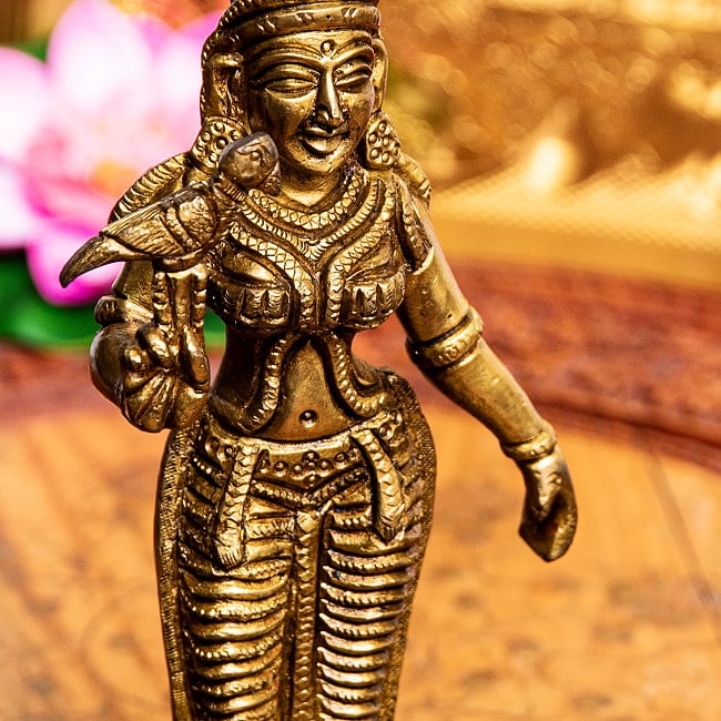 ミーナークシ 女神 立像 Meenakshi ブラス製 高さ:約19.5cm 3 - ゆったりとした立ち姿です。