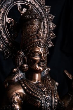 サラスバティー[88cm] - サブ4