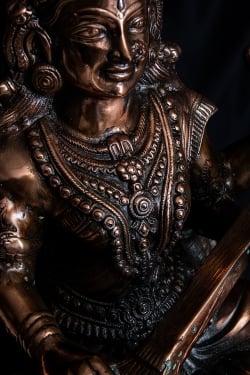 サラスバティー[88cm] - サブ5