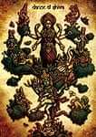 DANCE OF SHIVA 2009[DVD]の商品写真