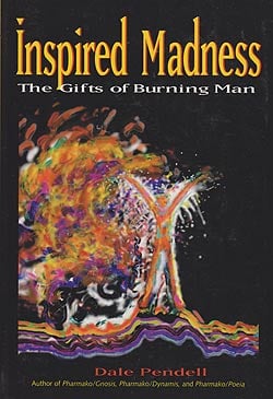 バーニングマンから生まれた話-inspired madness - the gifts of burningman(TRMAG-105)