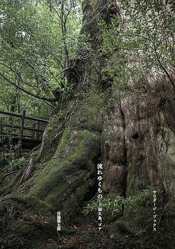 流れゆくもの -- 屋久島、ゴア