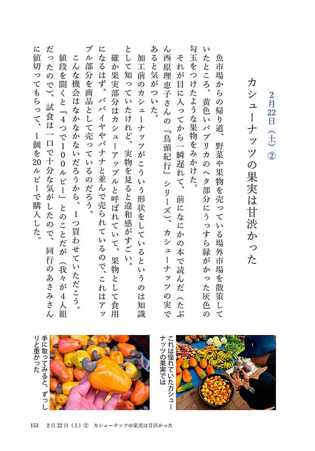 南インドを食べ歩く バンガロール・マドゥライ・ゴアのゆるゆる旅行記 4 - 内容を一部ご紹介