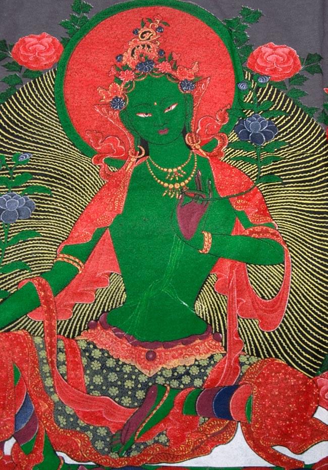 ターラーの商品写真 4枚目 拡大してみました。配色も良く、とても迫力があります!