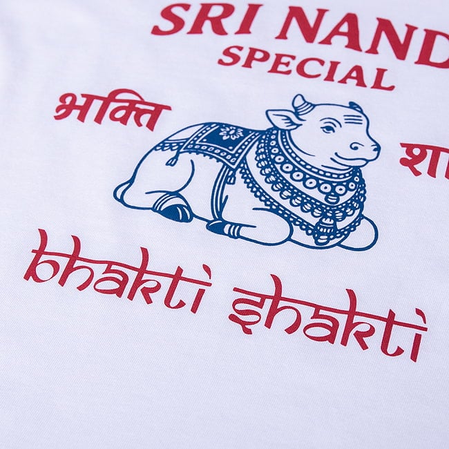 ナンディ 聖牛デザインTシャツ|南インドで親しまれている ナンディ石像モチーフ ヒンディー語 ナンディン 5.6oz生地 綿 コットン100% 6 - 別の角度から