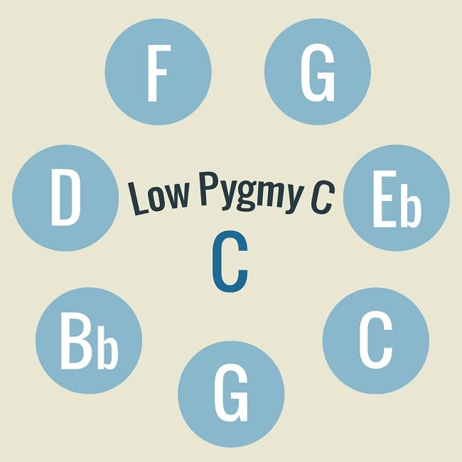 ハンドパン Low Pygmy C【58cm - 8notes】 -ソフトケース付属 2 - 当商品の音階位置はこのようになっております。